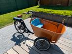 Elektrische bakfiets Babboe Carve E, Zo goed als nieuw, 2 kinderen, Elektrisch, Ophalen
