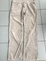 Velours broek. Grote maat, Kleding | Heren, WE, Ophalen of Verzenden, Grijs, Maat 56/58 (XL)
