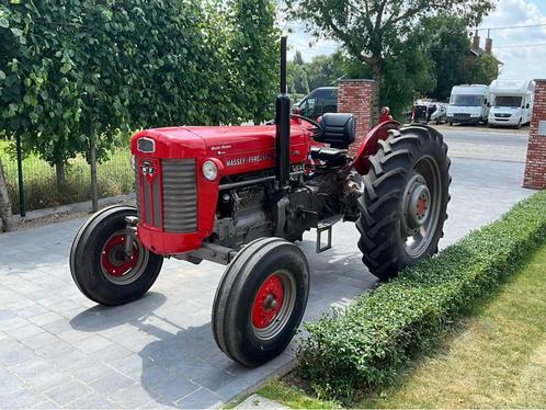1964 Massey Ferguson Oldtimer tractor, Zakelijke goederen, Landbouw | Tractoren, Massey Ferguson, Oldtimer