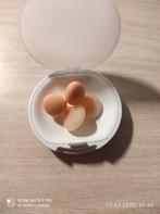 Loop Dream Earplugs (ongebruikt), Diversen, Ophalen of Verzenden