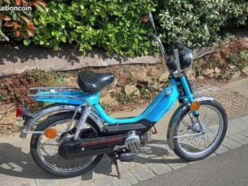 RECHERCHE  Honda camino