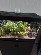 Planten en vissen, Dieren en Toebehoren, Ophalen, Zo goed als nieuw