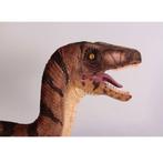 Velociraptor – Dinosaurus beeld Lengte 270 cm, Ophalen, Nieuw