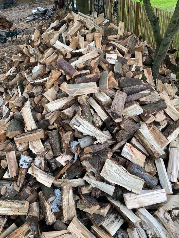 Brandhout diverse soorten door elkaar, Tuin en Terras, Brandhout, Blokken, Overige houtsoorten, 6 m³ of meer, Ophalen