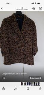 Jas, Kleding | Dames, Ophalen, Overige kleuren, Zara, Maat 42/44 (L)