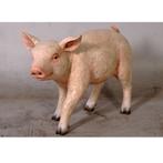 Cochon potelé – Cochon Longueur 59 cm, Enlèvement ou Envoi, Neuf