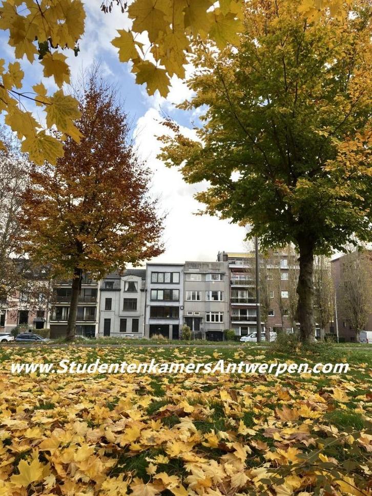 Studentenkamer te huur vanaf 3 maanden, Immo, Appartementen en Studio's te huur, Antwerpen (stad), Minder dan 20 m²