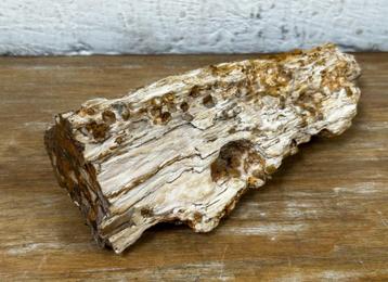 Fossiel versteend hout