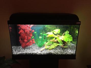 Aquarium Aquatlantis - Kit complet