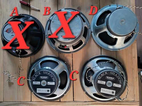 Mesa Boogie Celestion Black Shadow, Muziek en Instrumenten, Versterkers | Bas en Gitaar, Zo goed als nieuw, Ophalen of Verzenden