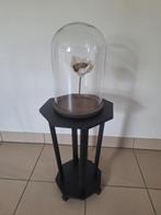 Taxidermie muis in stolp inclusief tafeltje, Ophalen, Zo goed als nieuw