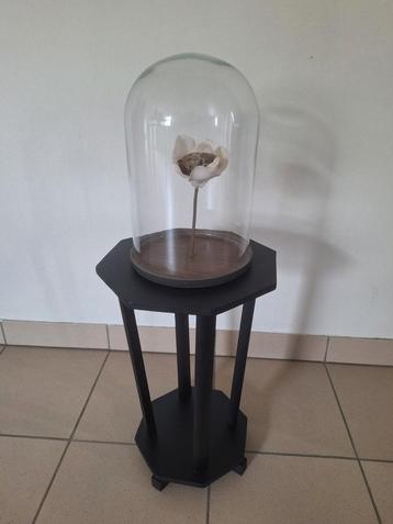 Taxidermie muis in stolp inclusief tafeltje beschikbaar voor biedingen