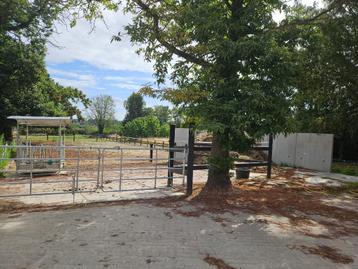 Pensionsstal, Mise à l'étable, 1 cheval ou poney