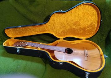 Akoestische gitaar Lion met koffer te koop. beschikbaar voor biedingen