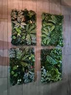 Achterwanden en terrarium, Dieren en Toebehoren, Ophalen