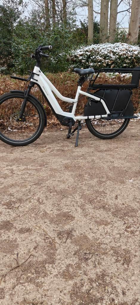 Riese muller multicharger vario, Fietsen en Brommers, Elektrische fietsen, Ophalen