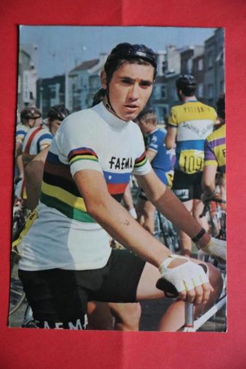 Cartes Eddy Merckx