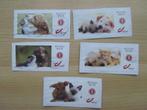 Postzegels B-post 2021 (Hondjes en katjes), Affranchi, Envoi, Oblitéré