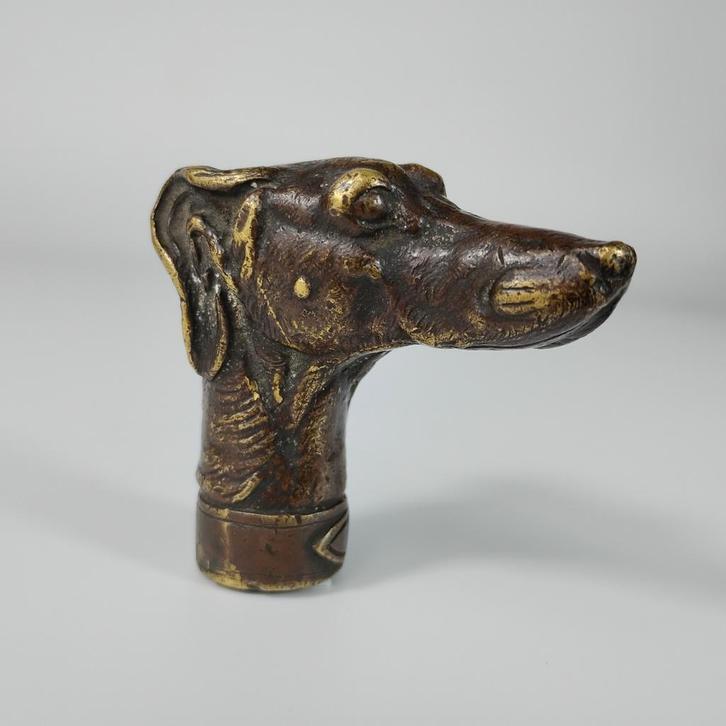 Pommeau de canne en bronze fin 19 eme Germany, Divers, Bâtons de marche, Enlèvement ou Envoi