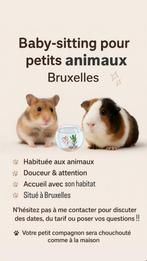 Knaagdierwacht in Brussel, Dieren en Toebehoren, Knaagdieren, Hamster, Januari, Meerdere dieren, Tam