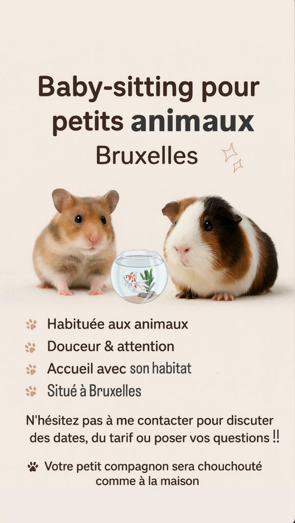 Knaagdierwacht in Brussel, Dieren en Toebehoren, Knaagdieren, Meerdere dieren, Hamster, Januari, Tam