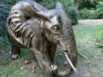 olifant brons, tuin, babykamer, zwanger 100 cm, Tuin en Terras, Ophalen, Nieuw, Kunststof, Dierenbeeld