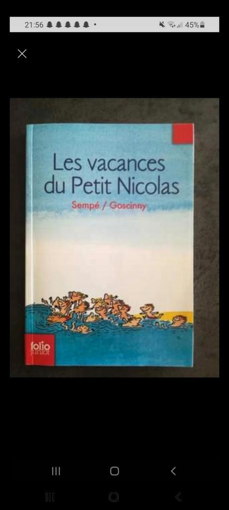 Les vacances du Petit Nicolas, Sempé/Goscinny, Boeken, Taal | Frans, Zo goed als nieuw, Fictie, Ophalen of Verzenden