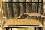 Ferplast hamsterkooi 100, Dieren en Toebehoren, Ophalen, Zo goed als nieuw