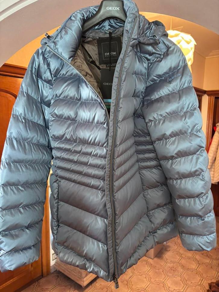 Doudoune Geox neuve T48, Vêtements | Femmes, Vestes | Hiver, Neuf, Taille 46/48 (XL) ou plus grande, Bleu, Enlèvement