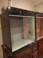 2 terrariums voor boompythons, Dieren en Toebehoren, Ophalen, Zo goed als nieuw