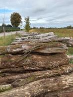 Brandhout op stam eik en beuk, Tuin en Terras, Brandhout, 6 m³ of meer, Ophalen, Eikenhout, Stammen