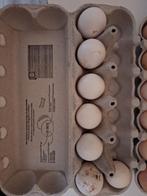 Broedeieren van veel mix., Dieren en Toebehoren, Pluimvee | Toebehoren, Ophalen