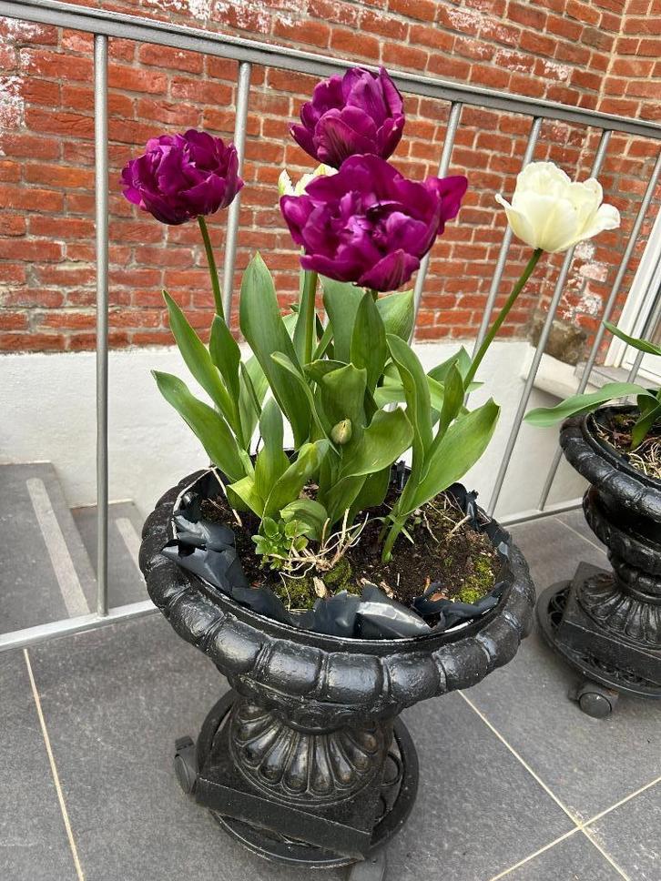 gietijzeren pot/urn, Tuin en Terras, Bloempotten, Gebruikt, Metaal, Binnen, Balkon, Tuin, 40 tot 70 cm, 40 cm of meer, Rond, Ophalen