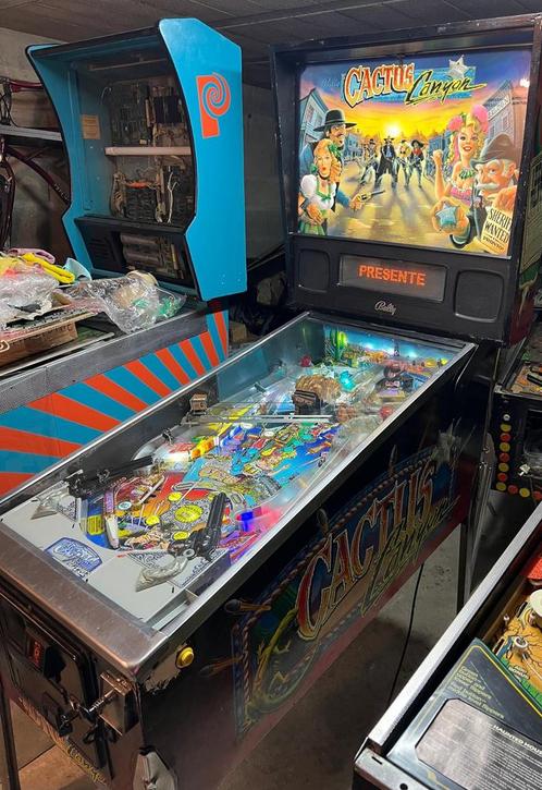 V ou E cactus caynon, Verzamelen, Automaten | Flipperkasten, Zo goed als nieuw, Bally, Ophalen