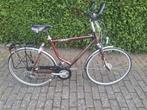 Giant Herenfiets, Fietsen en Brommers, Ophalen, Gebruikt, Versnellingen, Giant