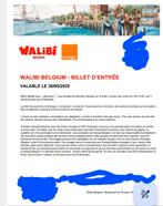 4 tickets Walibi,vendredi 30 mai+parking, Tickets & Billets, Loisirs | Parcs d'attractions