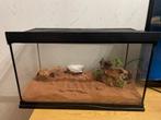 Terrarium, Dieren en Toebehoren, Ophalen, Zo goed als nieuw