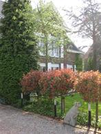 villa te koop, Vrijstaande woning, 1500 m² of meer, 244 m², KORTRIJK