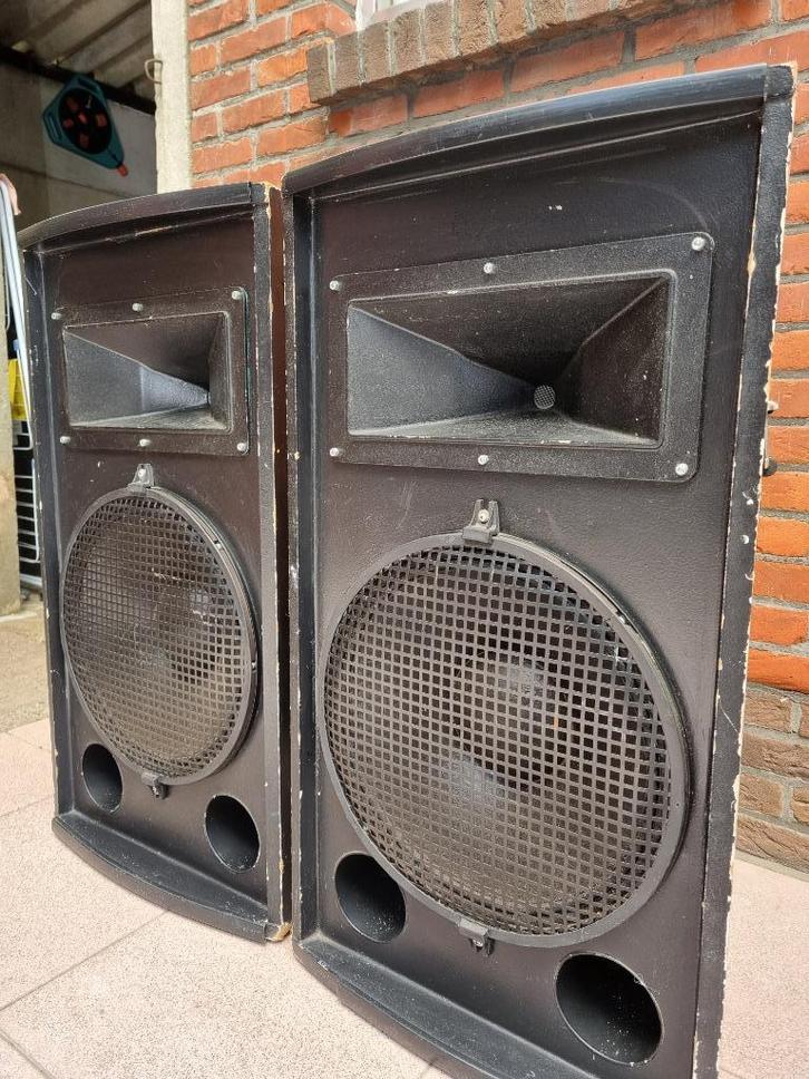 full range luidsprekers discobar, Audio, Tv en Foto, Luidsprekerboxen, Gebruikt, 120 watt of meer, Ophalen