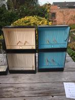 Golstertentoostellingskooien, Dieren en Toebehoren, Vogels | Hokken en Kooien, Ophalen