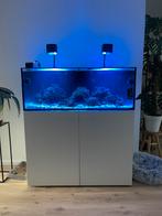 Zeeaquarium 200L, Dieren en Toebehoren, Ophalen, Gebruikt