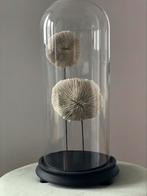 Grote oude stolp met koraal, Ophalen of Verzenden, Gebruikt