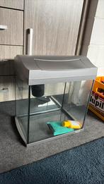 Aqarium, Dieren en Toebehoren, Vissen | Aquariumvissen