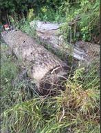 brandhout canada, Tuin en Terras, Brandhout, 3 tot 6 m³, Ophalen, Overige houtsoorten, Blokken