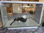 Superfish Home 30 Aquarium, Dieren en Toebehoren, Zo goed als nieuw, Leeg aquarium