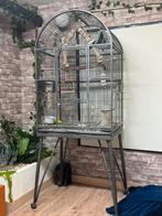 Cage, Animaux & Accessoires, Oiseaux | Cages & Volières, Enlèvement, Utilisé, Aluminium, Cage à oiseaux