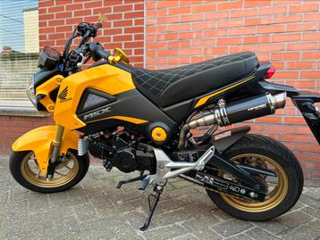 UNIEKE GELE HONDA MSX MET 164CC KITACO KIT IN NIEUWSTAAT!!!!