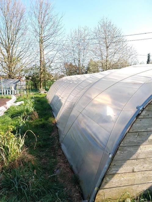 Serrebogen te koop,, Tuin en Terras, Kassen, Gebruikt, Kweekkas, Staal, Folie, Ophalen