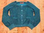 Fred&Ginger gilet maat 116 glittergroen, Kinderen en Baby's, Kinderkleding | Maat 116, Trui of Vest, Zo goed als nieuw, Fred&Ginger