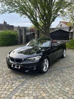 BMW série 2 cabriolet, Boîte manuelle, Cuir, Jantes en alliage léger, Diesel